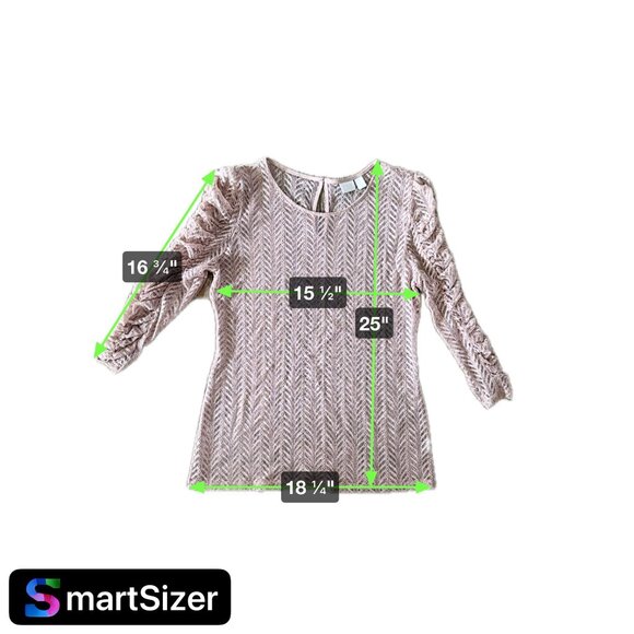 14th & Union Lace Top Shirt Womens M Ruched Sleeves Delicate Coquette Sheer - Picture 2 of 7